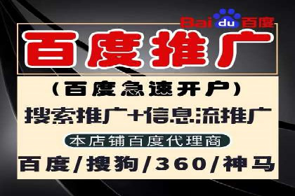 SEM代理案例：揭秘成功背后的秘密